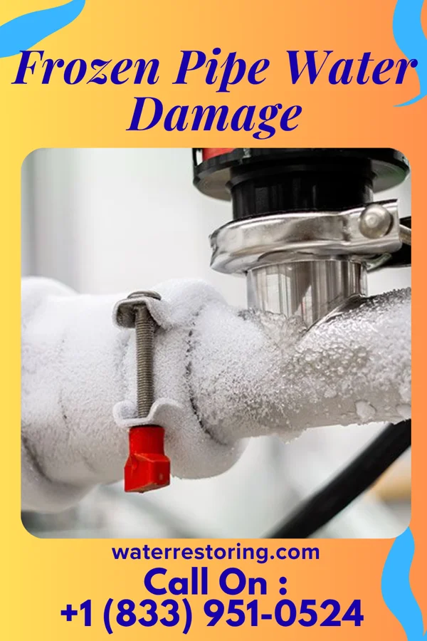 Frozen Pipe Water Damage in Reddick, FL