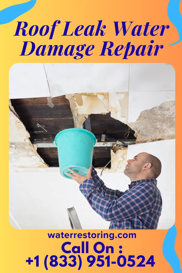 Roof Leak Water Damage Repair in Reddick, FL